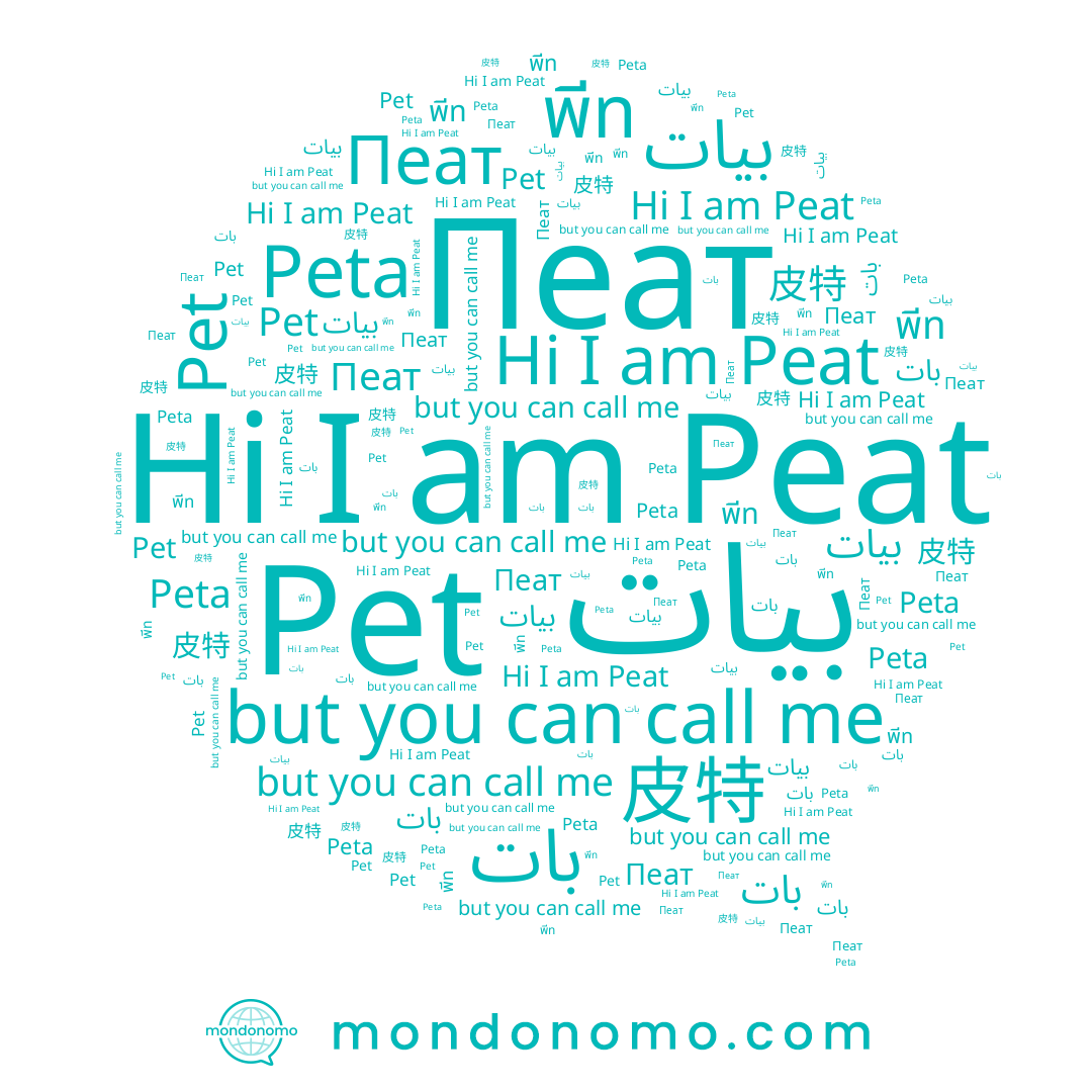 name พีท, name بات, name 皮特, name Peta, name Peat, name Pet, name Пеат