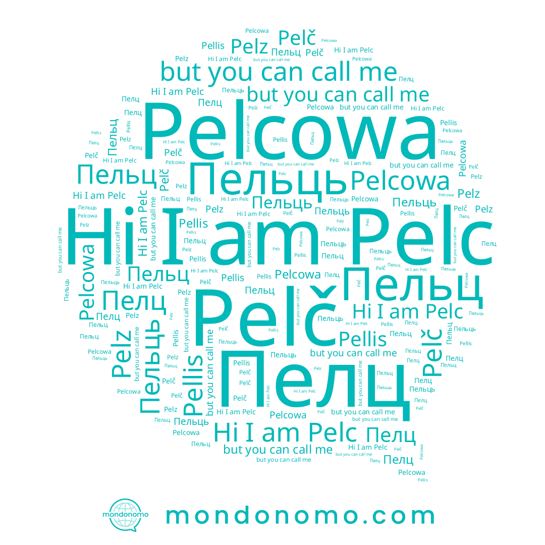 name Pelč, name Pellis, name Пелц, name Pelc, name Пельц, name Пельць, name Pelcowa, name Pelz