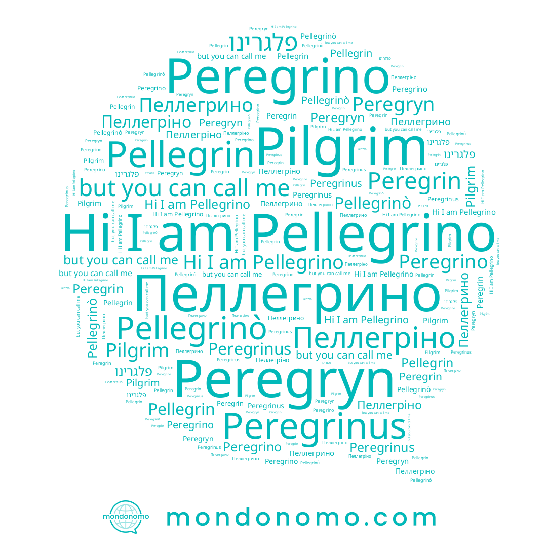 name Peregrinus, name Peregryn, name Peregrin, name Peregrino, name פלגרינו, name Пеллегріно, name Pellegrin, name Pellegrinò, name Pellegrino, name Pilgrim, name Пеллегрино
