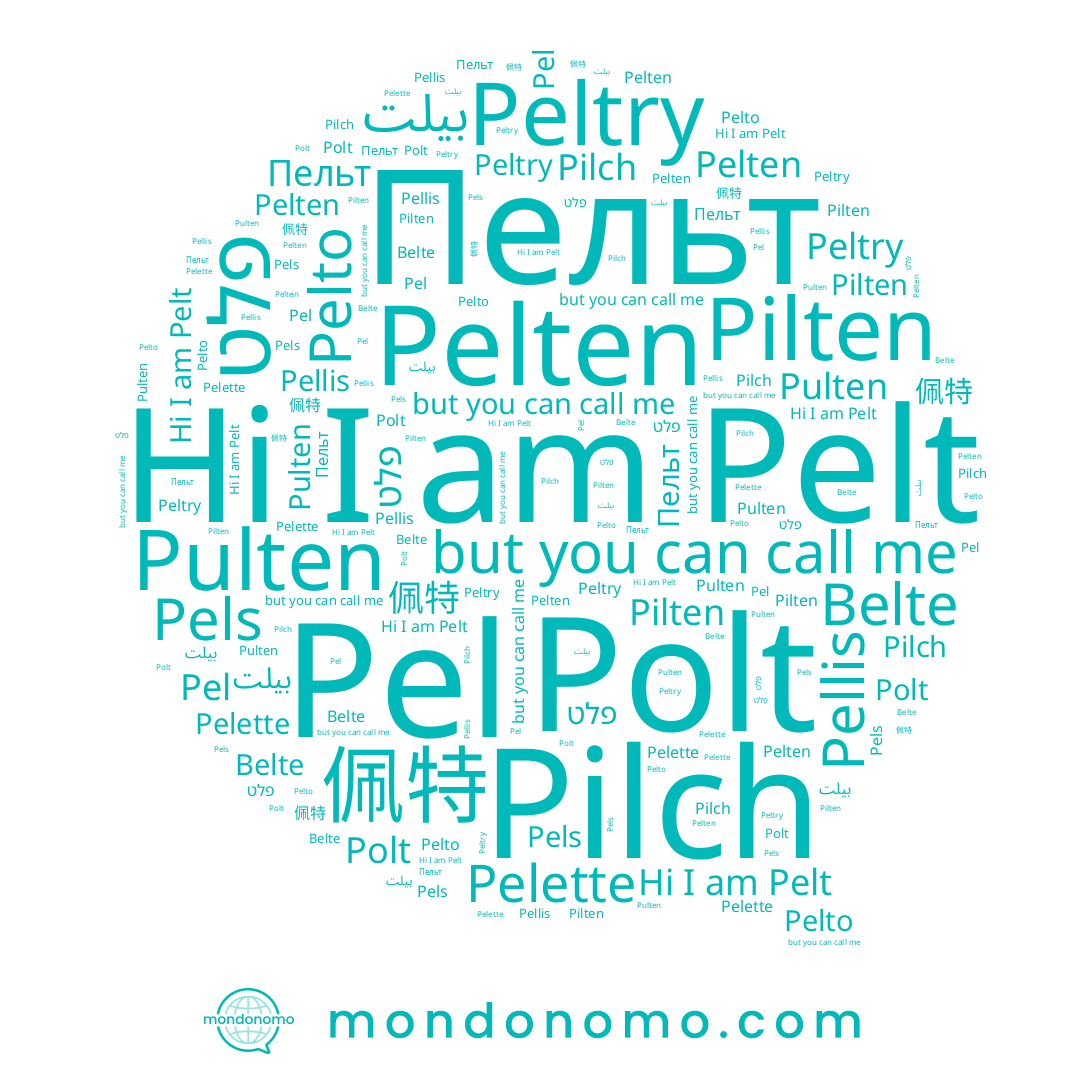 name Pelten, name 佩特, name Pels, name Pellis, name Pelette, name Peltry, name Polt, name Belte, name Pelt, name Пельт, name Pulten, name Pilten, name Pelto, name Pilch, name Pel