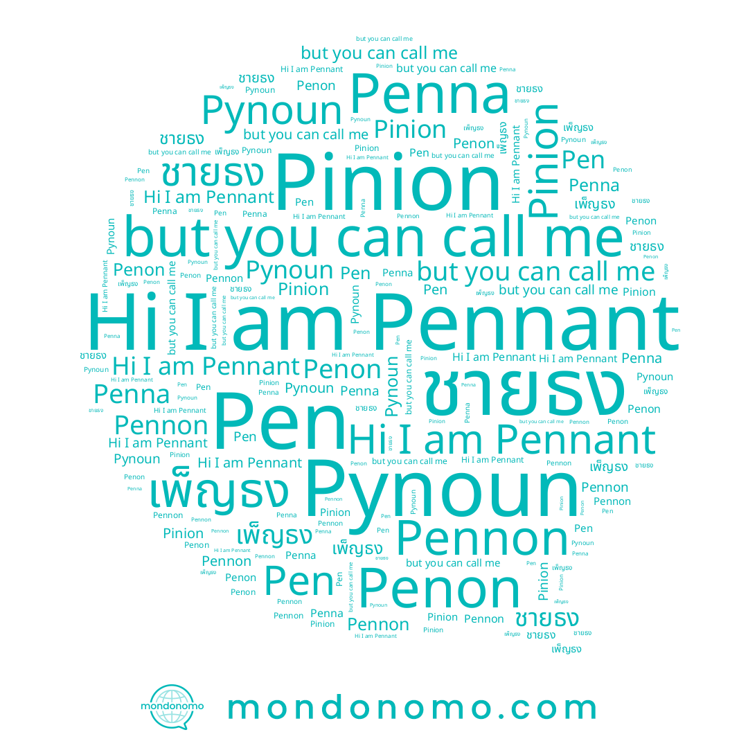 name Pen, name Pynoun, name เพ็ญธง, name ชายธง, name Pinion, name Penna, name Penon, name Pennant