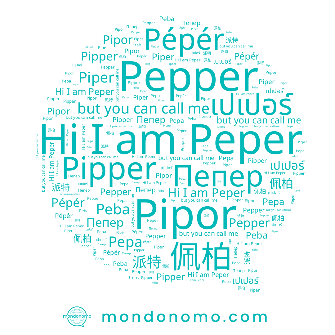 name Pipper, name Pipor, name 佩柏, name Pépér, name Piper, name Pepa, name Peper, name 派特, name Peba, name Пепер, name Pepper