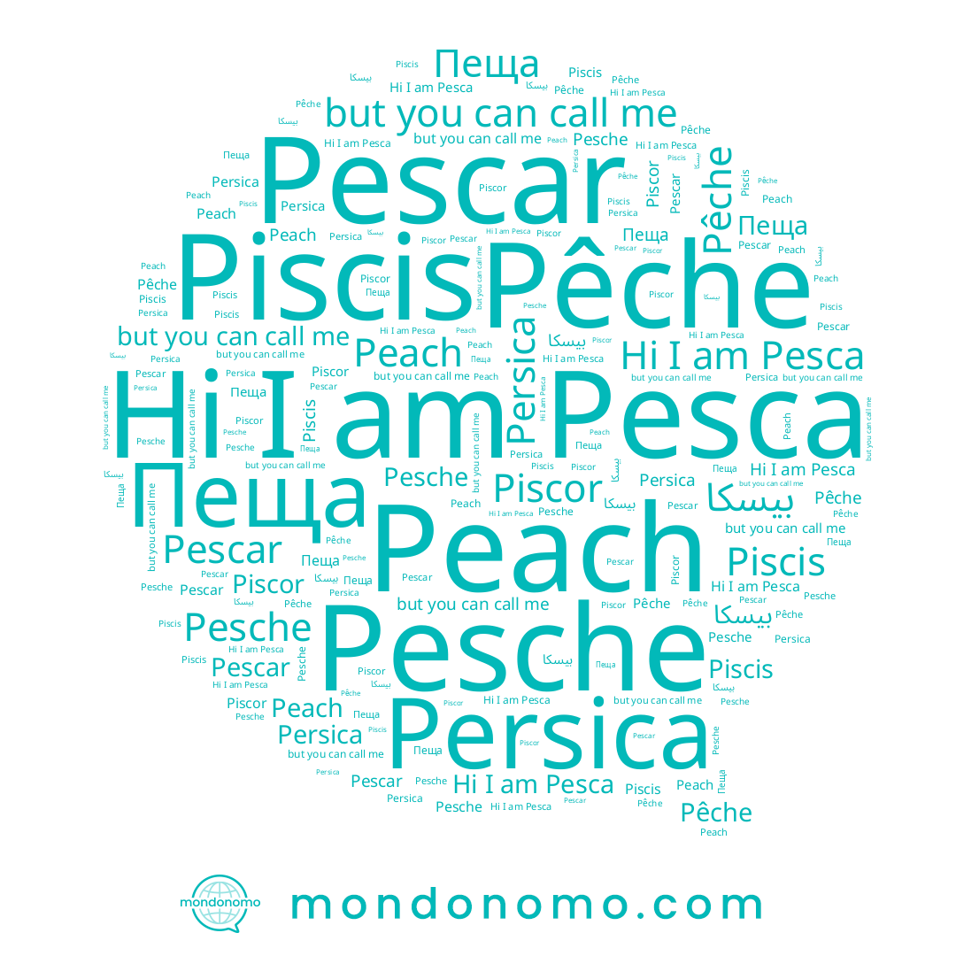 name Pesche, name Persica, name Pescar, name Peach, name Pesca, name Piscis, name Pêche, name Пеща, name Piscor