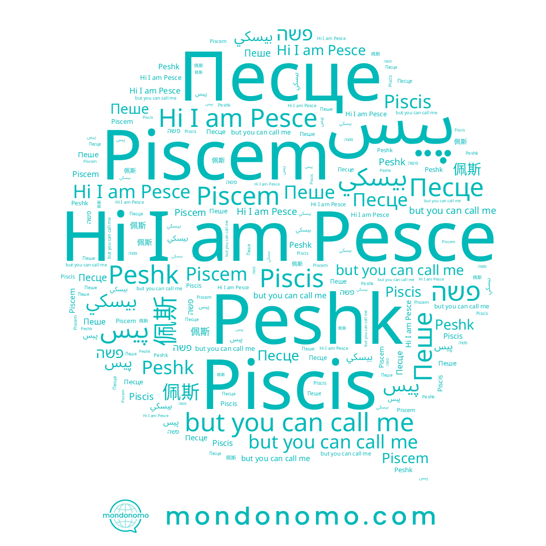 name Peshk, name פשה, name Пеше, name 佩斯, name Piscem, name Piscis, name Pesce, name Песце, name پيس, name بيسكي