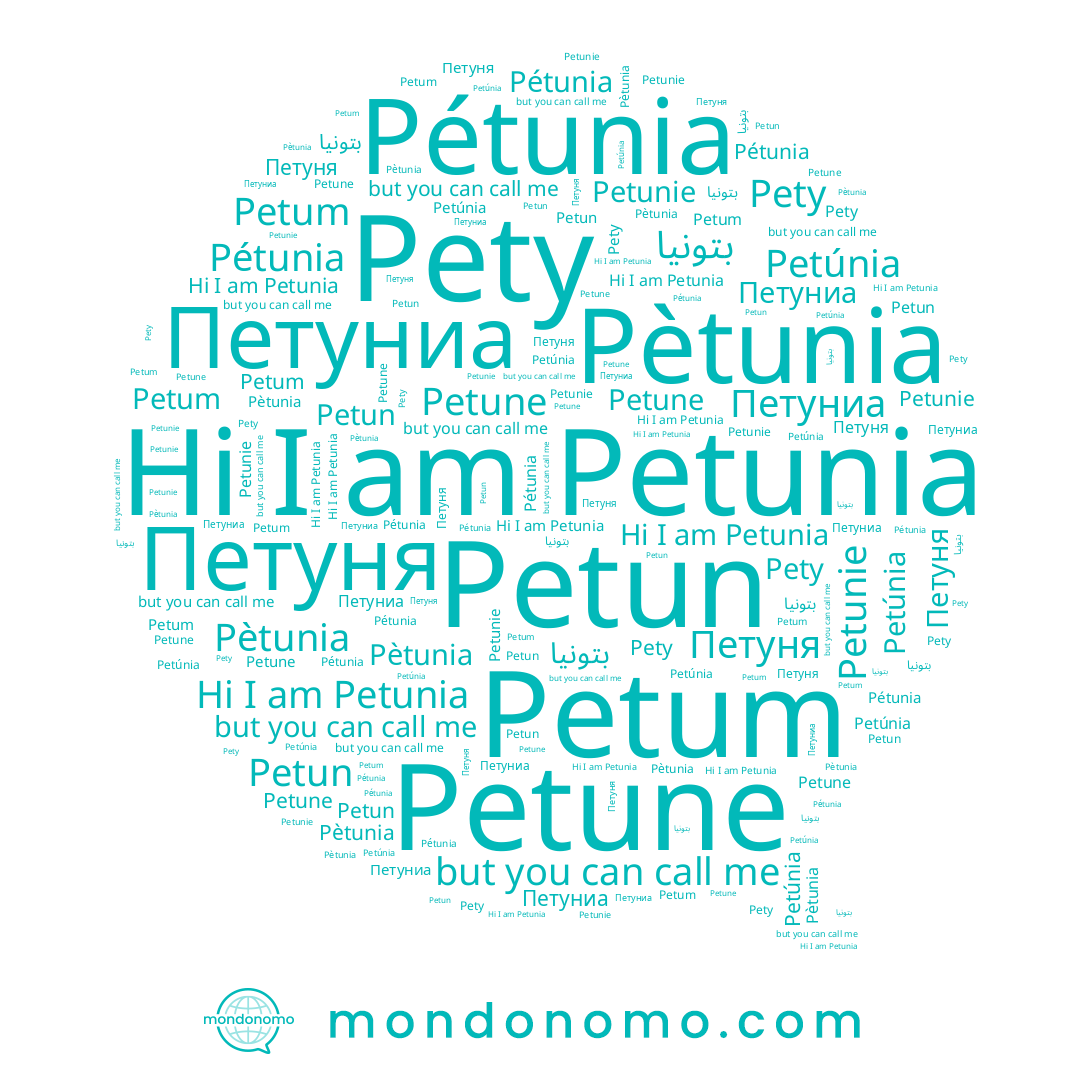 name Pètunia, name Petune, name Pétunia, name Петуниа, name Petunie, name Petunia, name Pety, name Petum, name بتونيا, name Петуня, name Petun, name Petúnia