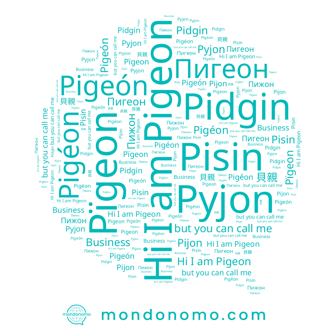 name Pigeon, name Pïgeon, name Pigéon, name Pijon, name Pigeón, name Pisin, name Пигеон, name Pyjon