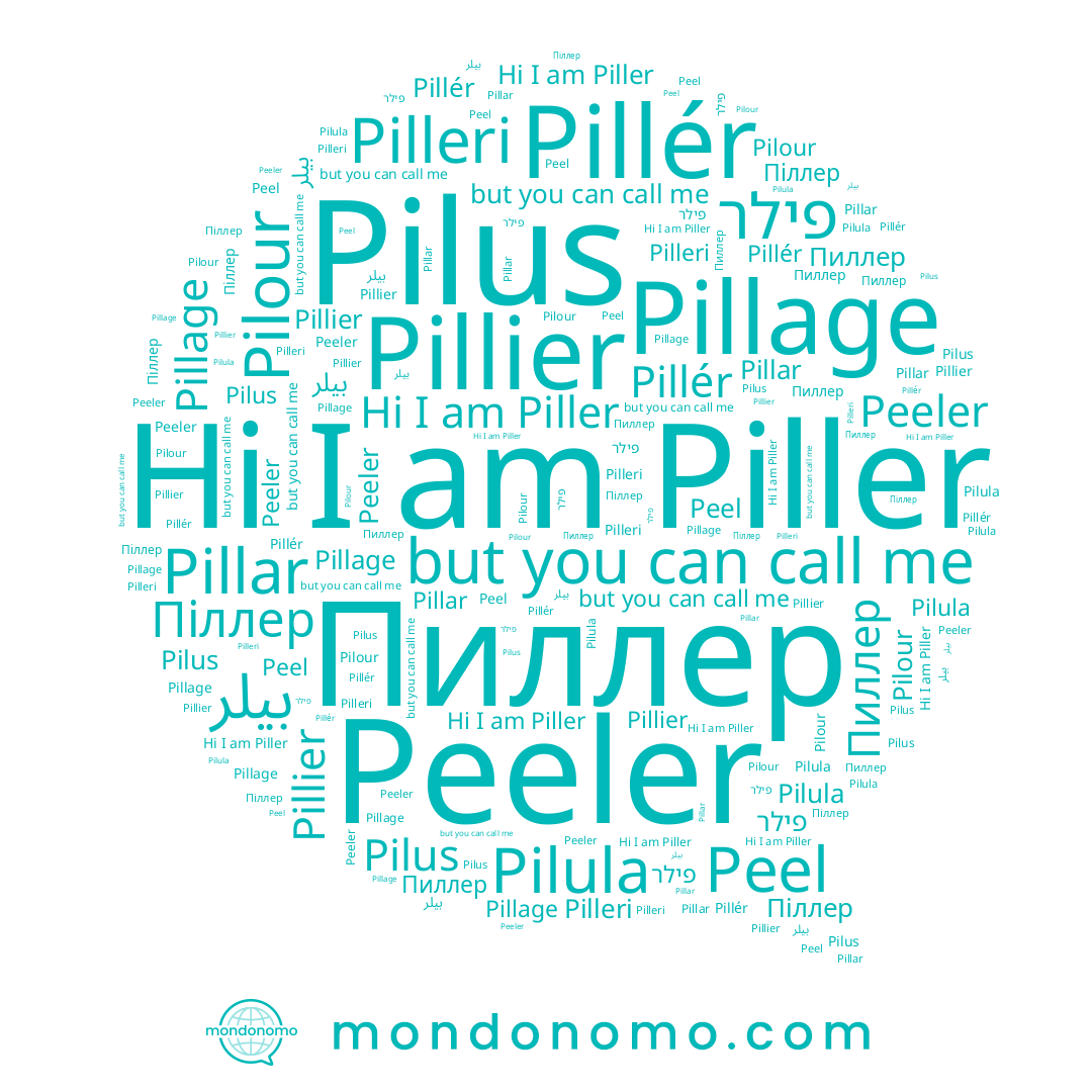 name Pillier, name Peeler, name פילר, name Pilour, name Піллер, name Piller, name Pilula, name Pilleri, name بيلر, name Pillage, name Pilus, name Pillar, name Peel, name Пиллер