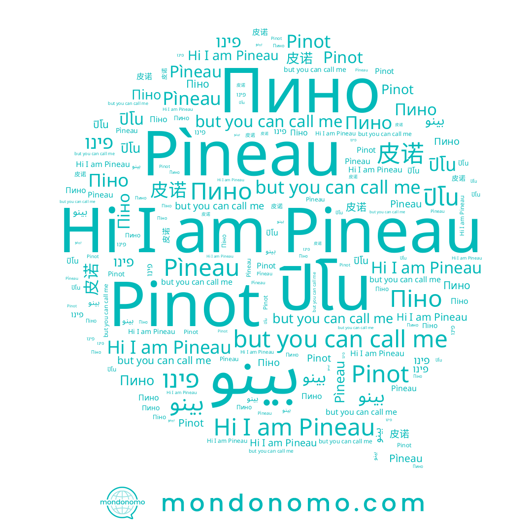 name פינו, name Pineau, name Pìneau, name Pinot, name 皮诺, name Пино, name Піно, name ปิโน, name بينو