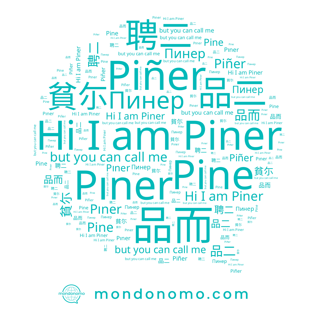 name 貧尓, name 聘二, name 品而, name Piner, name Пинер, name Pıner, name 品二, name Pine, name Piñer