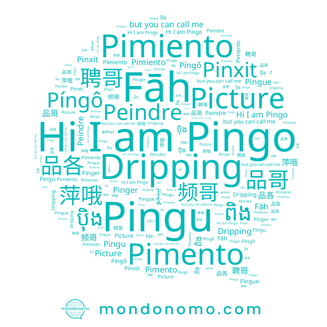 name 频哥, name Píngô, name Pingo, name Pingu, name Pinger, name 品各, name Pingue, name Fāh, name ប៉ិង, name 萍哦, name ពិង, name 聘哥, name Pimento, name Pimiento, name بينجو, name 品哥