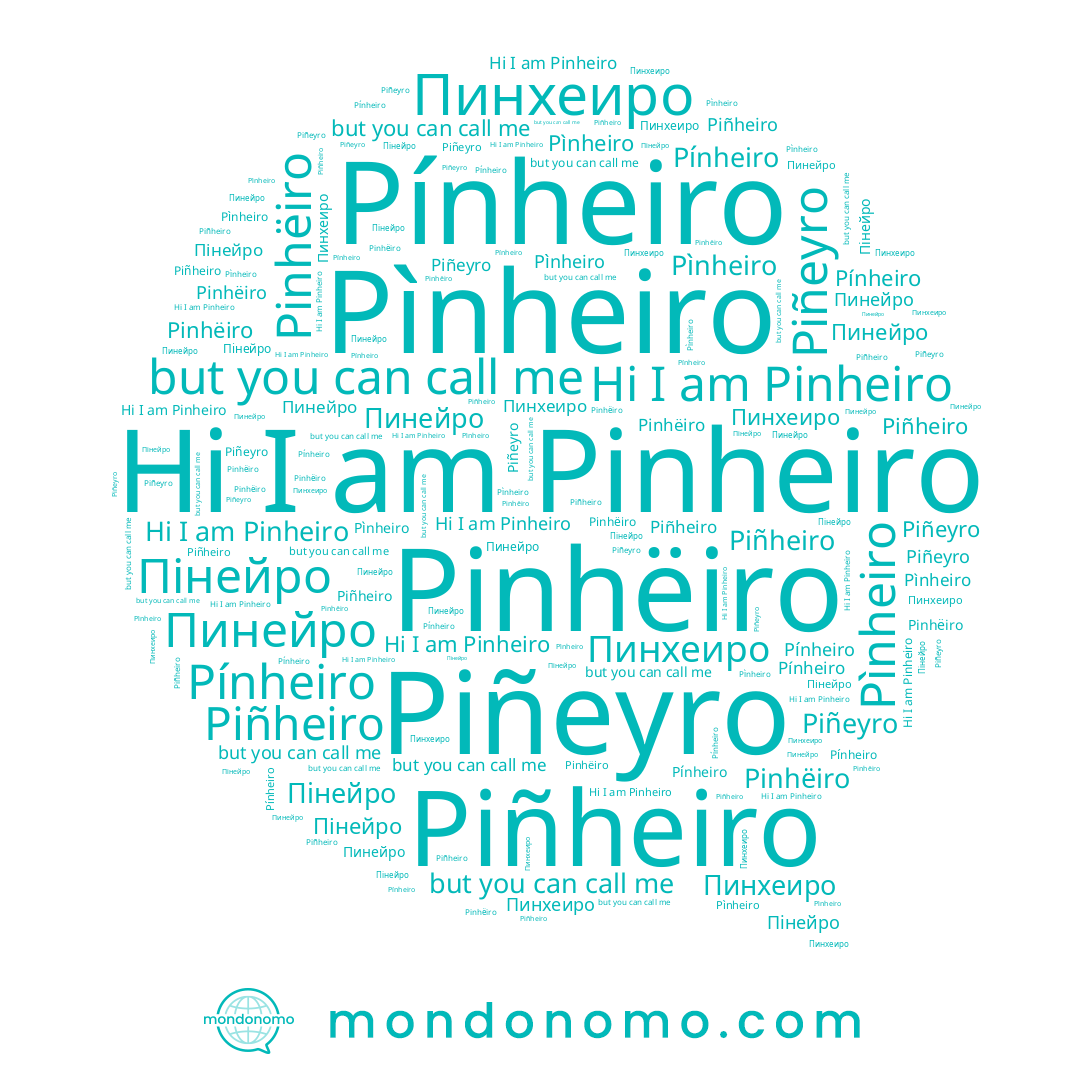 name Piñeyro, name Pìnheiro, name Пинейро, name Pínheiro, name Pinhëiro, name Пинхеиро, name Piñheiro, name Пінейро, name Pinheiro