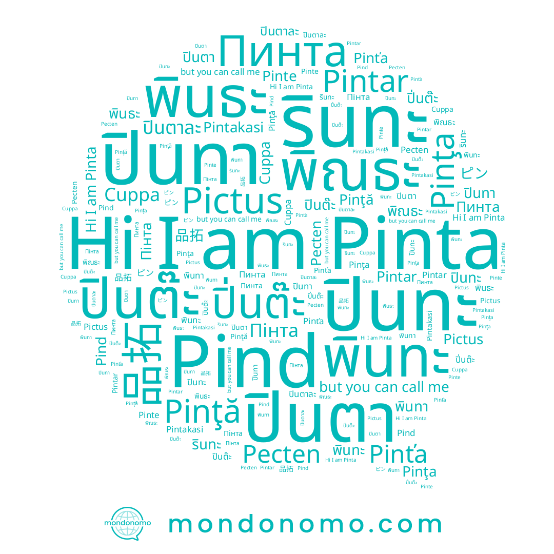 name Pintakasi, name รินทะ, name พินทา, name พินธะ, name ปิ่นต๊ะ, name ปินทา, name 品拓, name Pintar, name พินทะ, name ปินต๊ะ, name พิณธะ, name Pinte, name Pinţa, name ピン, name Pinta, name Пінта, name Pind, name ปินตาละ, name Pinťa, name Pinţă, name ปินตา, name ปินทะ, name Cuppa