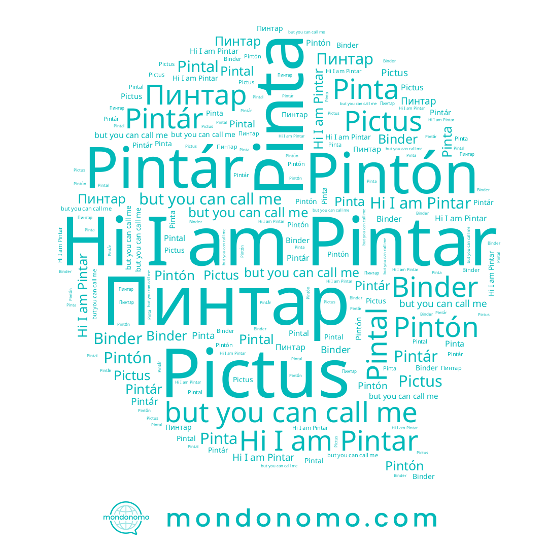 name Pintar, name Pintár, name Binder, name Pintal, name Pintón, name Pinta