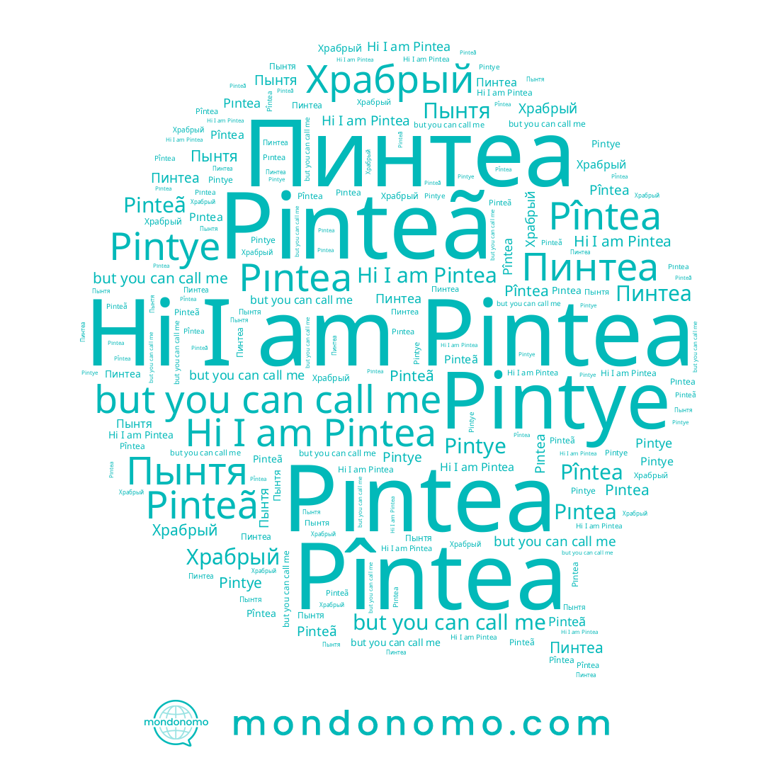 name Пинтеа, name Храбрый, name Pîntea, name Pinteã, name Pintye, name Pıntea, name Pintea, name Пынтя