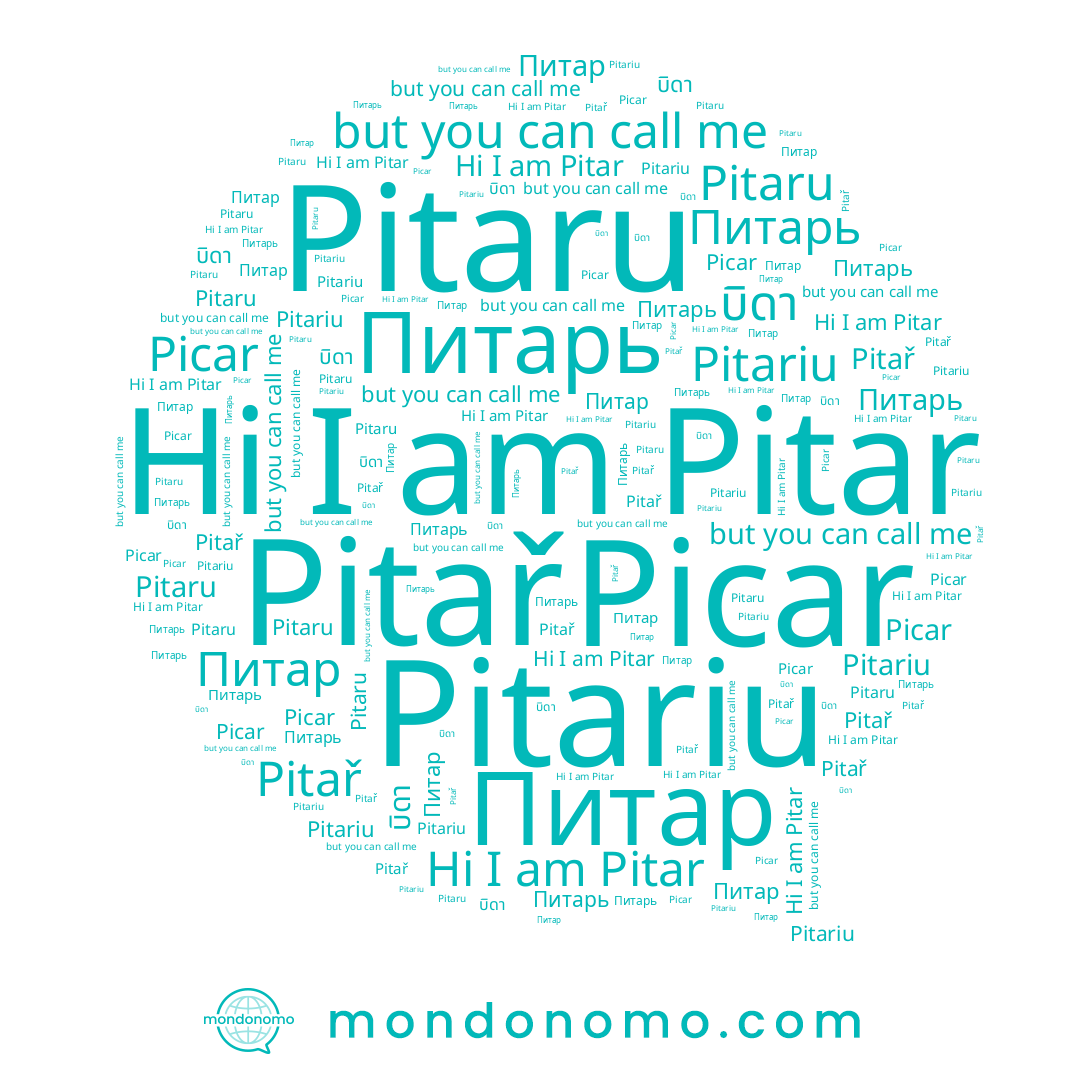 name Pitař, name Pitar, name Pitaru, name Питарь, name Picar, name บิดา, name Питар, name Pitariu