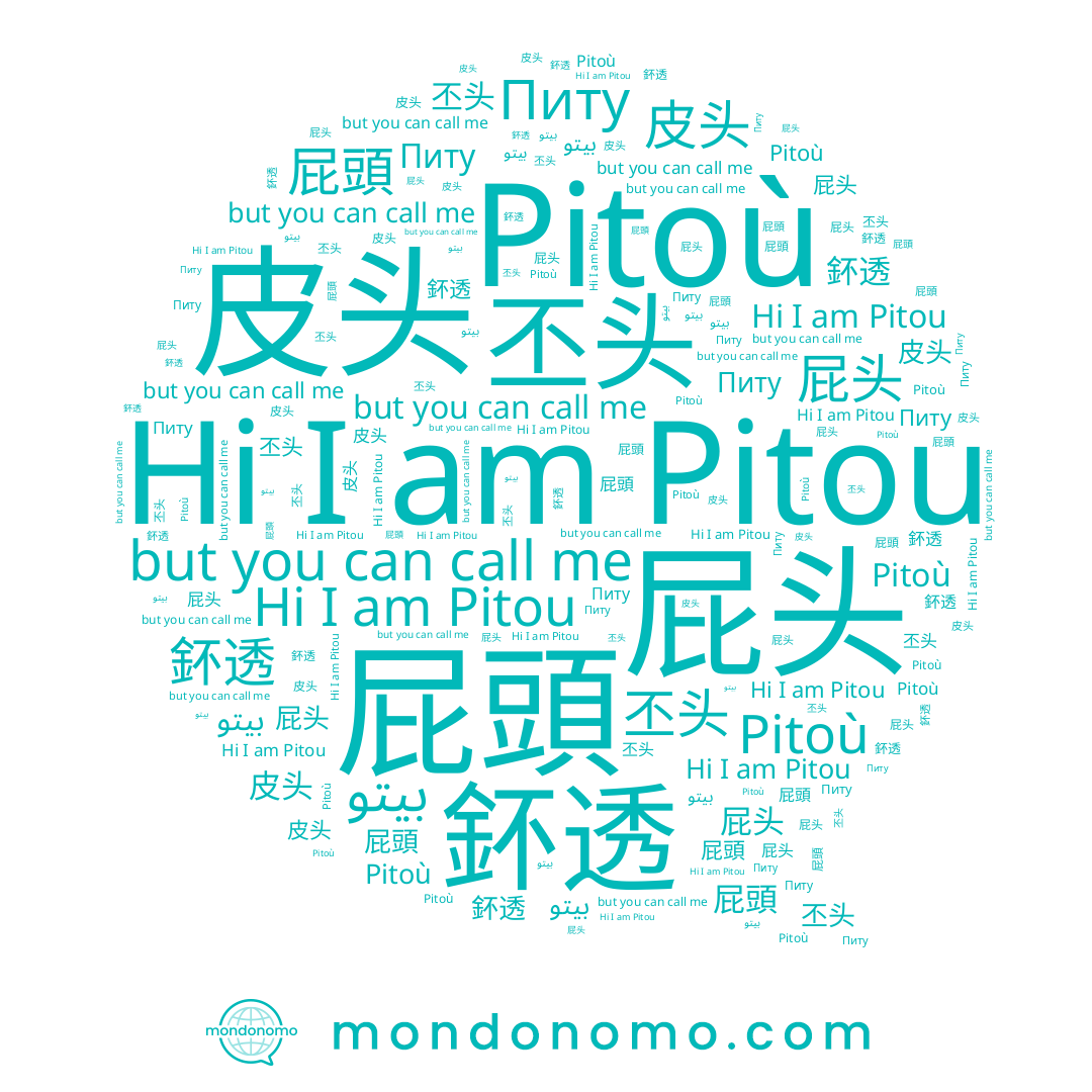 name 丕钭, name بيتو, name Питу, name 鈈透, name 屁头, name 屁頭, name 毞頭, name 屁鋀, name Pitoù, name Pitou, name 皮头, name 丕头