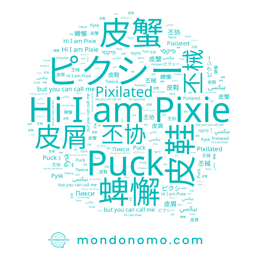 name פיקסי, name 丕协, name 皮屑, name 蜱懈, name 毞冩, name Pixilated, name Puck, name بيكسى, name ピクシー, name 丕械, name 皮鞋, name Pysk, name بيكسي, name Pixie, name 皮蟹