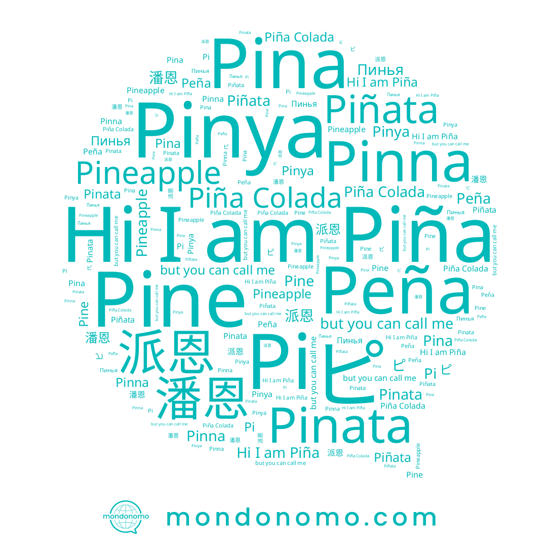 name Pinya, name Piña, name Pine, name 派恩, name Peña, name Пинья, name 潘恩, name Pinna, name Pina, name ピ, name Pi, name Piñata, name Piña Colada