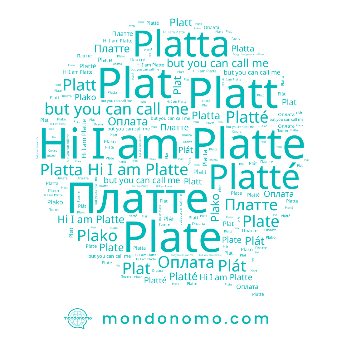 name Platta, name Plat, name Plako, name Platt, name Платте, name Platte, name Platté, name Plate, name Оплата
