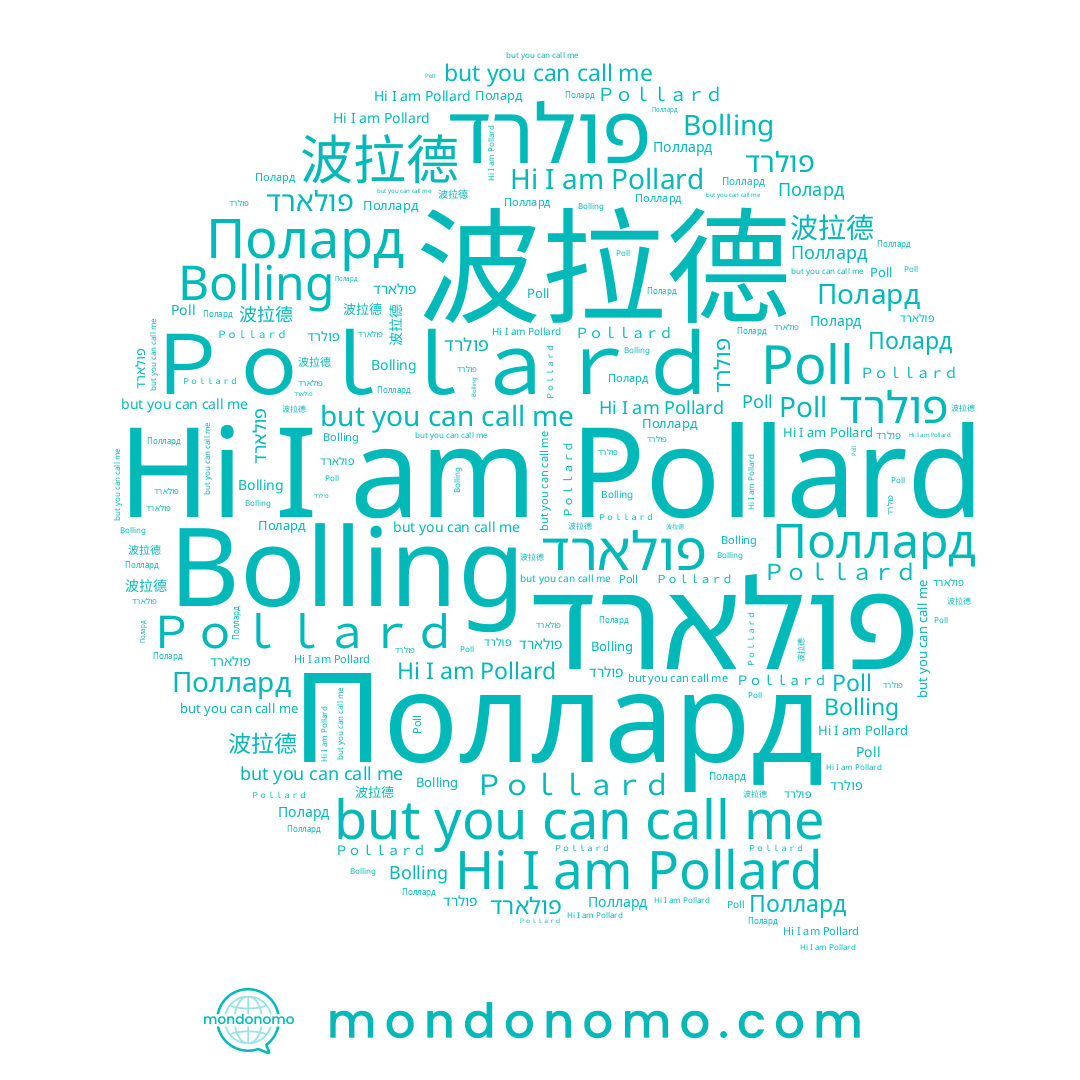 name Bolling, name Поллард, name פולארד, name Ｐｏｌｌａｒｄ, name Полард, name Poll, name Pollard