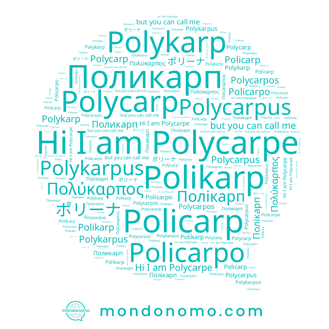 name Polycarp, name Polycarpus, name Polykarp, name Πολύκαρπος, name ポリーナ, name Polycarpos, name Поликарп, name Policarpo, name Polycarpe, name Polykarpus, name Polikarp, name Policarp, name Полікарп