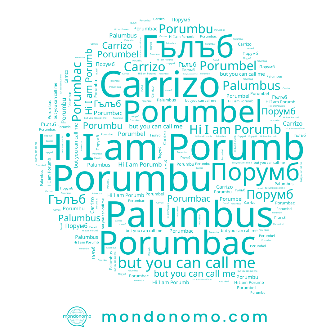 name Porumbel, name Porumb, name Порумб, name Porumbac, name Porumbu, name Carrizo