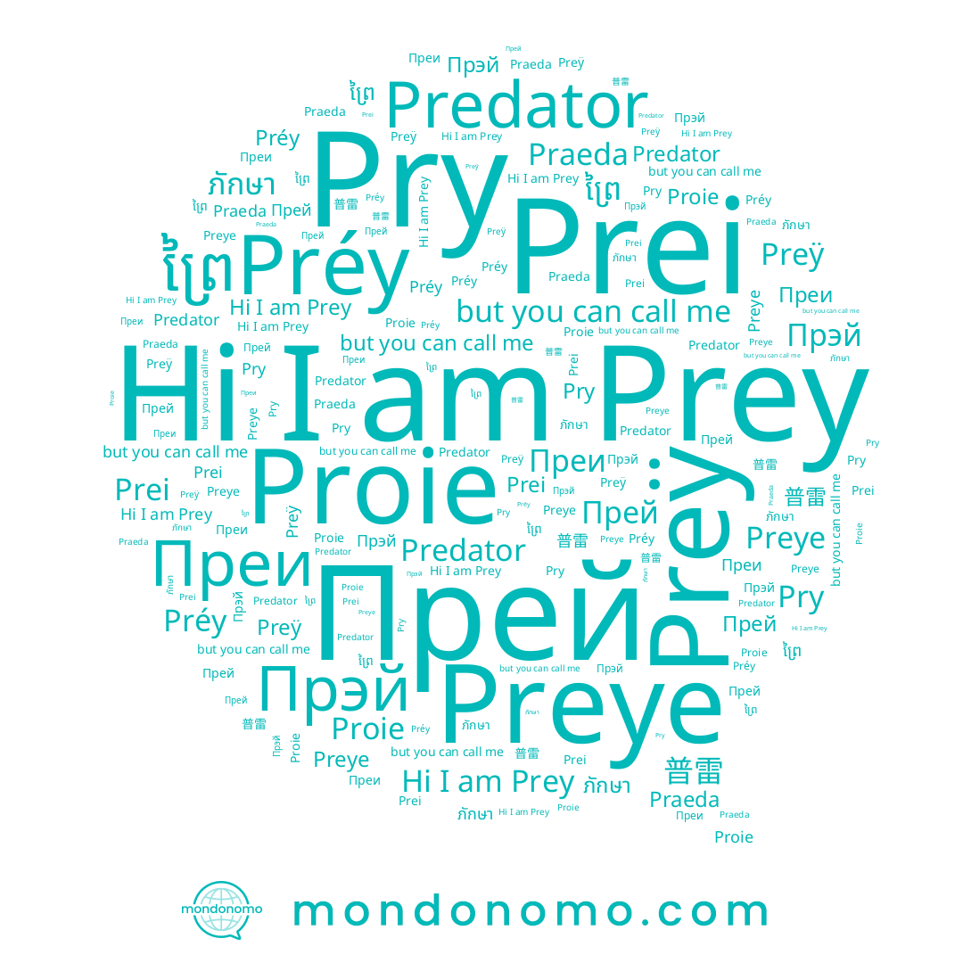 name Pry, name Preÿ, name ព្រៃ, name Prei, name 普雷, name ภักษา, name Прей, name Prey, name Прэй, name Preye, name Proie, name Преи, name Préy