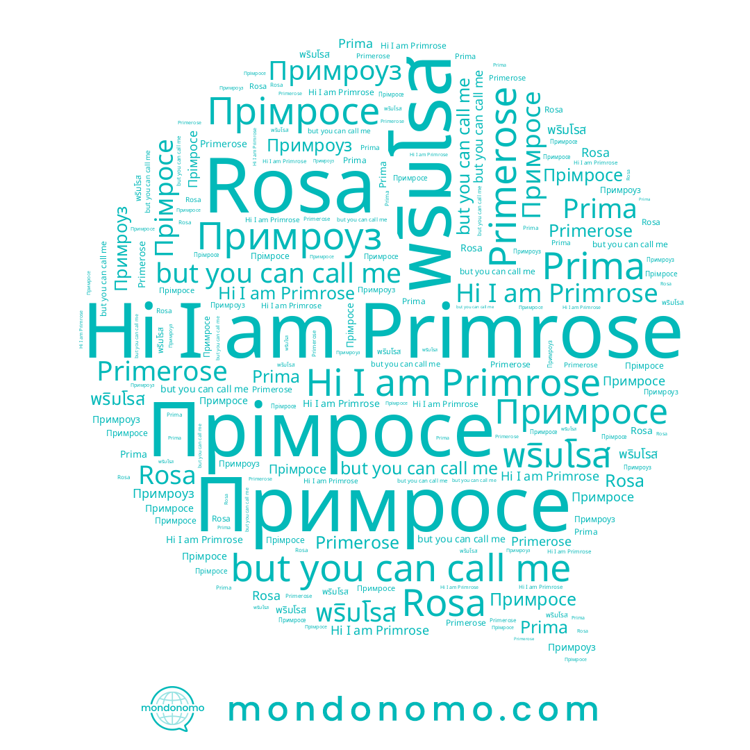 name พริมโรส, name Primerose, name Примроуз, name Rosa, name Прімросе, name Primrose, name Prima, name Примросе