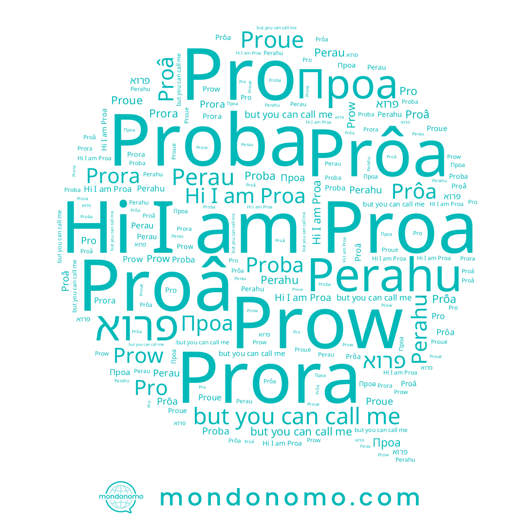 name פרוא, name Prow, name Proue, name Perahu, name Prôa, name Proa, name Perau, name Проа, name Proâ