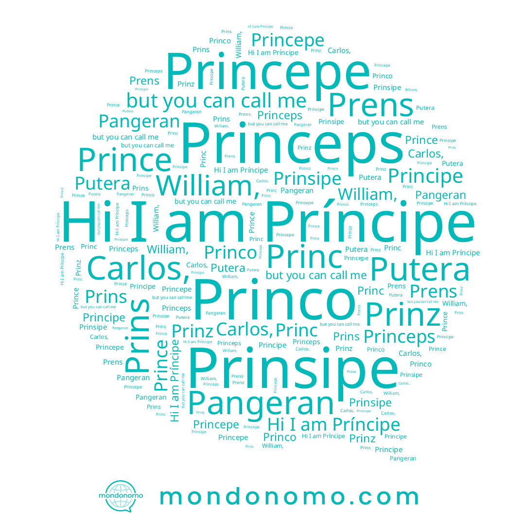 name Príncipe, name Princ, name Prens, name Prinsipe, name Princepe, name Prins, name Pangeran, name Prinz, name Prince, name Principe, name Putera, name Princo