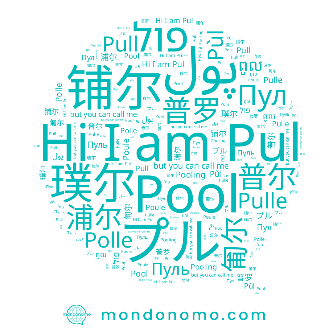 name 铺尔, name Пуль, name プル, name Pul, name 普罗, name 普尔, name Pool, name 匍尔, name 璞尔, name Pull, name פול, name ពូល, name Pùl, name Pulle, name 浦尔, name Polle, name Poule, name Пул