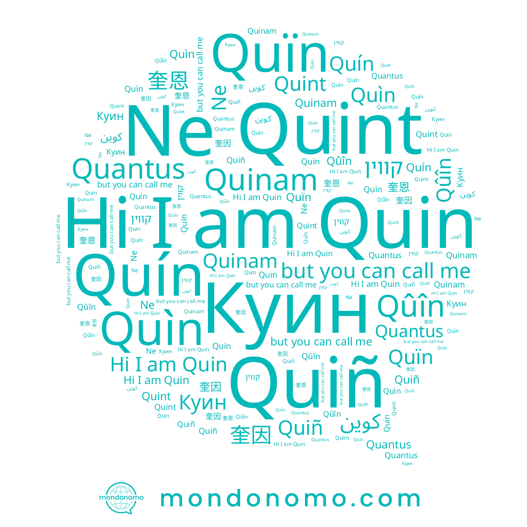 name Ne, name Quint, name 奎恩, name Quïn, name 奎因, name Куин, name كوين, name Quín, name Quìn, name Qûîn, name Quinam, name Quin, name קווין, name Quiñ