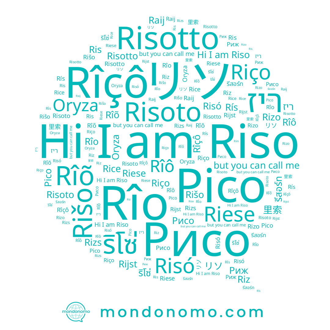 name Riço, name Rizs, name Risotto, name Rís, name Rîõ, name Ris, name Oryza, name Riz, name Rice, name ريسو, name Riso, name Rîo, name Riese, name Risó, name ריז, name Risoto, name Rizo, name Rîô, name Rîçô, name Raij, name Rišo, name Рісо, name ริโซ่, name Rijst, name Риж, name Рисо, name 里索