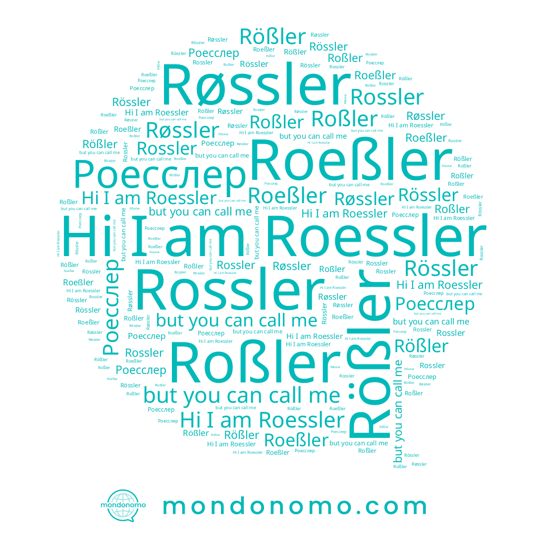 name Roessler, name Rössler, name Røssler, name Rossler, name Rößler, name Roßler, name Roeßler, name Роесслер