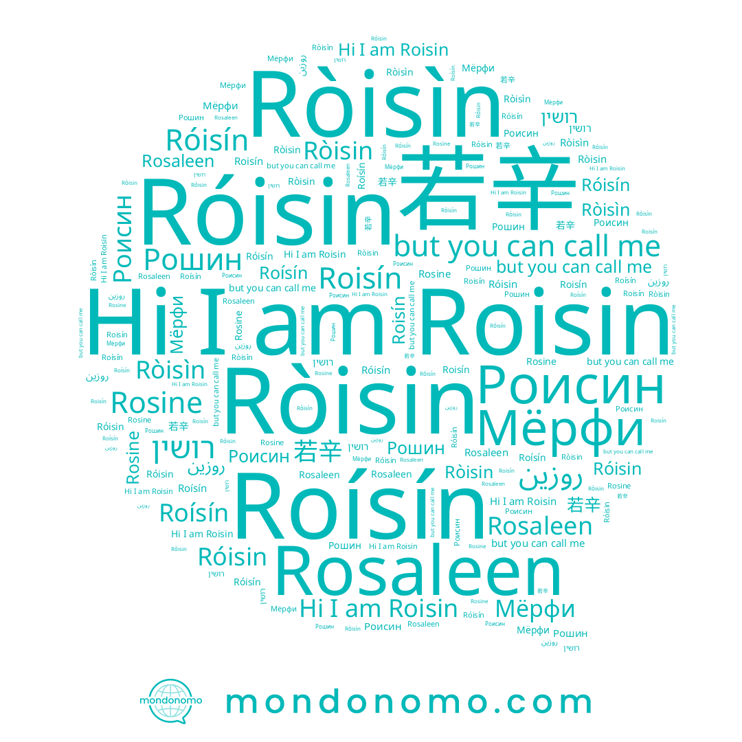 name Ròisin, name רושין, name Rosine, name Ròisìn, name Róisin, name Роисин, name روزين, name Roisin, name 若辛, name Roísín, name Рошин, name Róisín, name Roisín, name Rosaleen