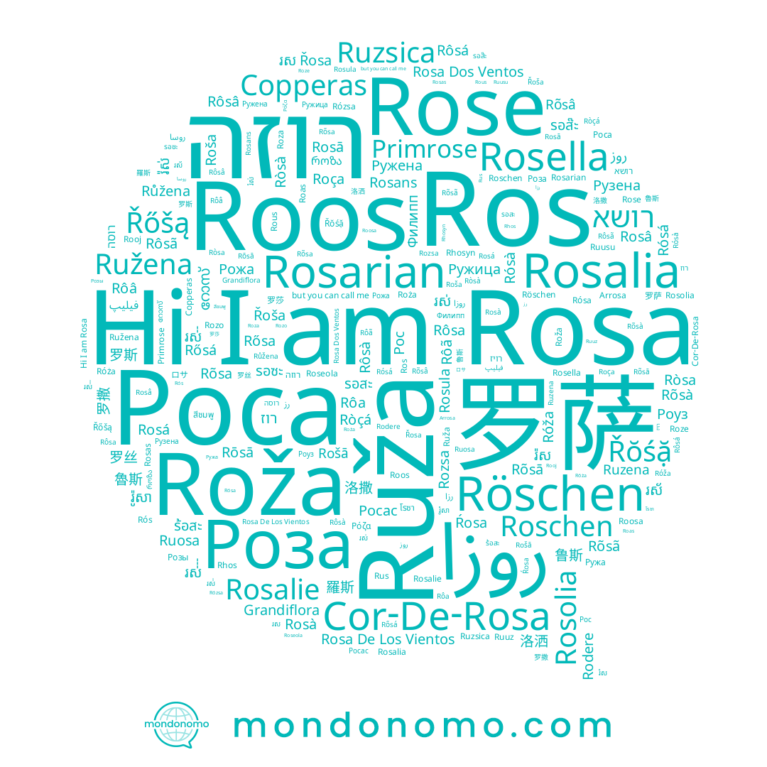 name Rosalia, name Rózsa, name Roża, name Rósá, name Rosula, name Роса, name Roça, name Rošā, name Rosa, name Rosas, name Rose, name Rosans, name Rosarian, name Rooj, name Rósa, name Ròçá, name Roša, name Rodere, name Rosolia, name Rôa, name Roos, name רוזה, name Ros, name Primrose, name Rozsa, name Rozo, name Cor-De-Rosa, name Rous, name Rosella, name Ròsà, name Roseola, name Ruusu, name Roze, name 호자, name Rosà, name Róža, name Rosalie, name Roža, name Rosâ, name Ròsa, name Ruža, name Ruosa, name Rosa De Los Vientos, name Roza, name Rósà, name Rosa Dos Ventos, name روزا, name Róża, name Роза, name Roas, name Roosa, name Ruzena, name Arrosa, name Ruzsica, name Rus, name Rosá, name Rós, name Ruuz, name Rosā, name Ružena, name Roschen