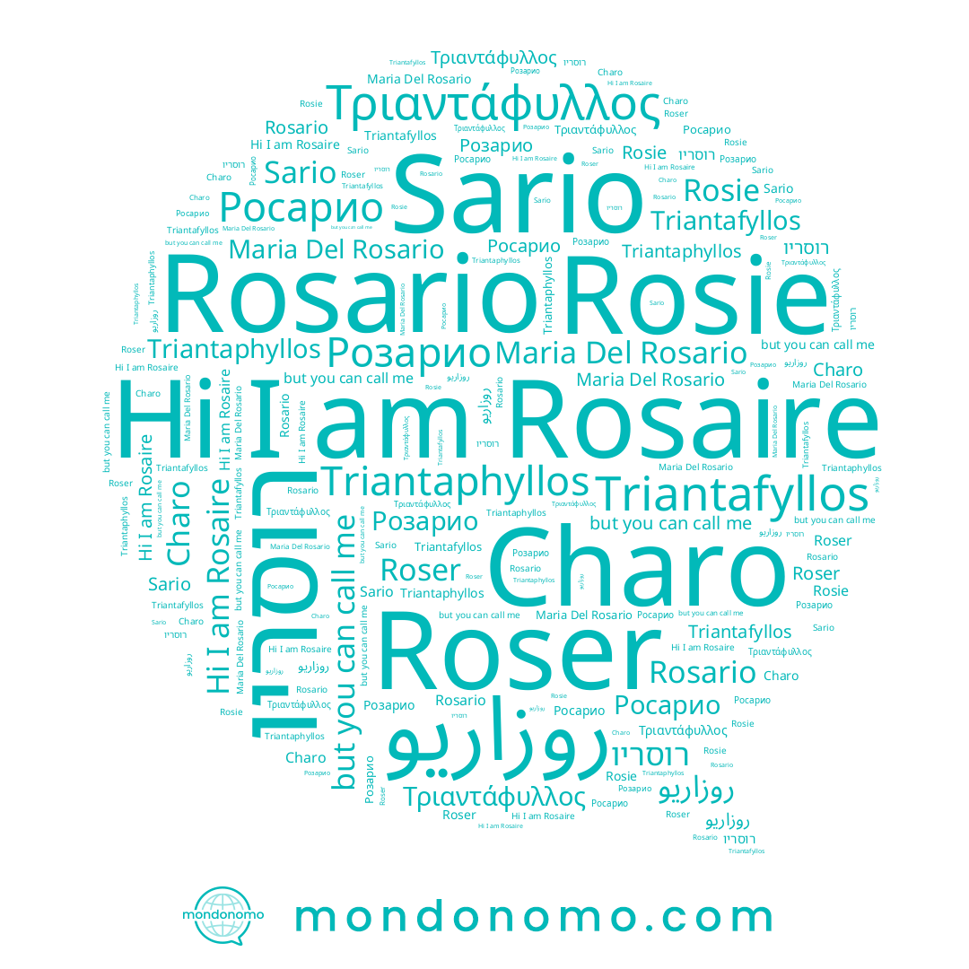 name Rosaire, name Розарио, name Rosario, name روزاريو, name Charo, name Rosie, name רוסריו, name Triantafyllos, name Roser, name Triantaphyllos, name Τριαντάφυλλος, name Росарио, name Maria Del Rosario, name Sario