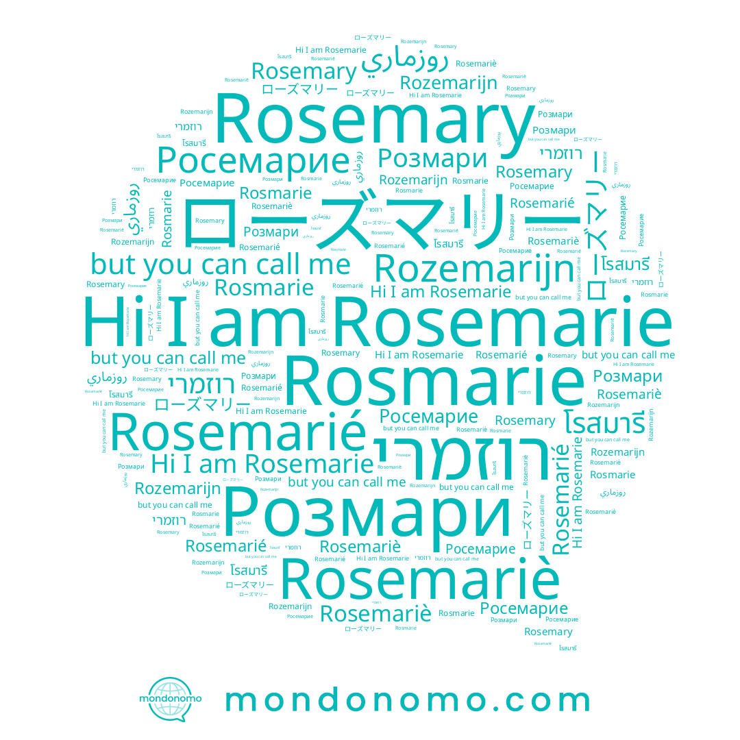 name Rosmarie, name Rozemarijn, name ローズマリー, name โรสมารี, name Rosemarié, name روزماري, name רוזמרי, name Розмари, name Rosemarie, name Rosemariè, name Rosemary, name Росемарие