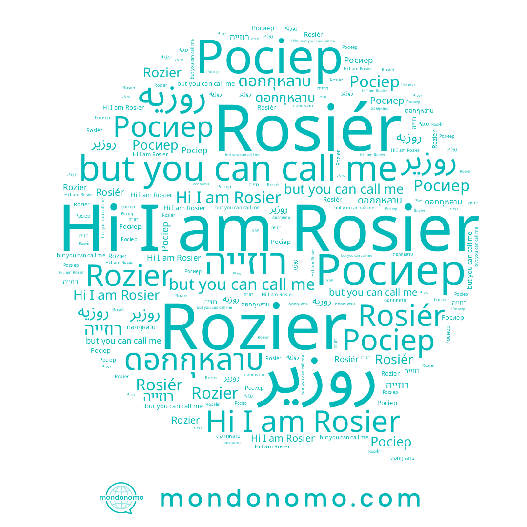name روزيه, name Росиер, name ดอกกุหลาบ, name רוזייה, name Росіер, name Rosiér, name روزير, name Rozier, name Rosier