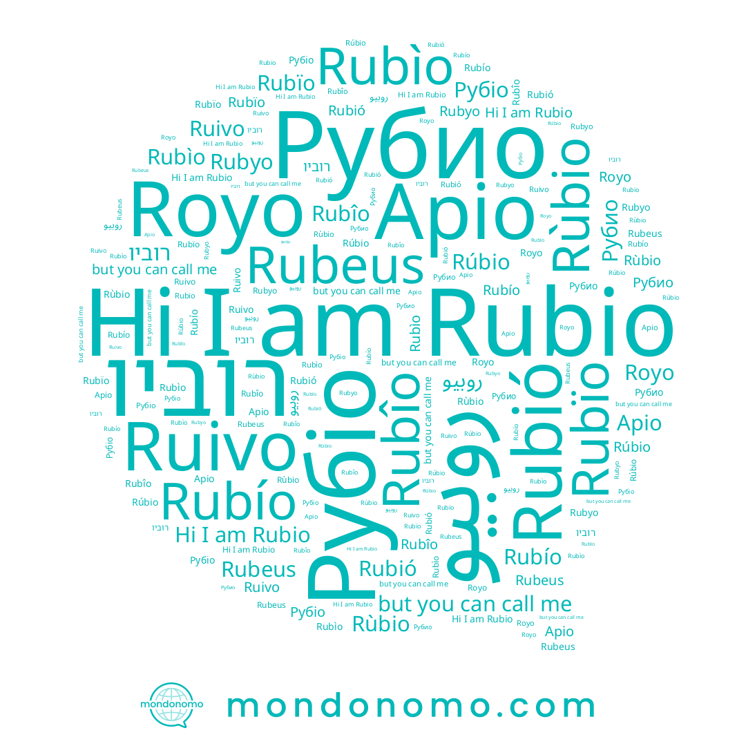 name Rubeus, name Apio, name Rubió, name רוביו, name Rùbio, name Royo, name Rúbio, name Рубио, name Rubio, name Rubyo, name Rubïo, name Rubío, name Рубіо, name Rubîo, name Ruivo, name Rubìo, name روبيو