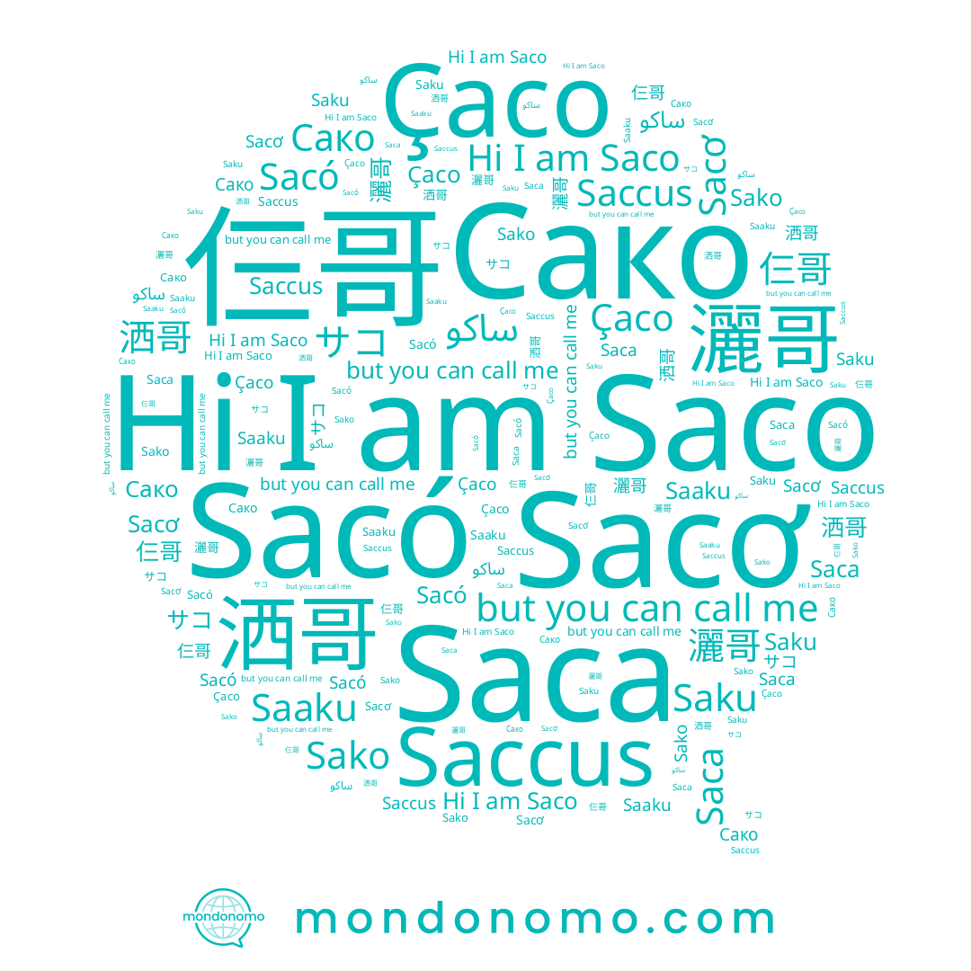 name 灑哥, name Сако, name Sacó, name Saca, name Sako, name Saco, name サコ, name Sacơ, name Saku, name Çaco, name 洒哥, name 仨哥, name Saaku