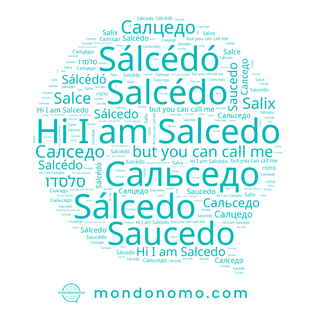 name Sálcedo, name Сальседо, name Салцедо, name Salcedo, name סלסדו, name Салседо, name Saucedo, name Sálcédó, name Salcédo, name Salce