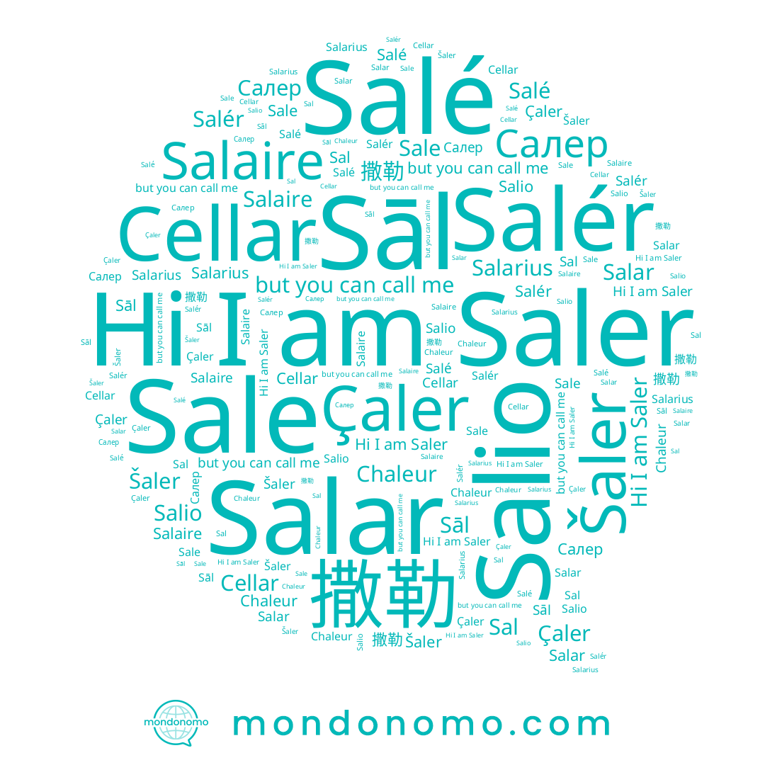 name Sale, name Salio, name Salaire, name Šaler, name Salar, name 撒勒, name Çaler, name Sāl, name Салер, name Sal, name Salé, name Saler, name Salér