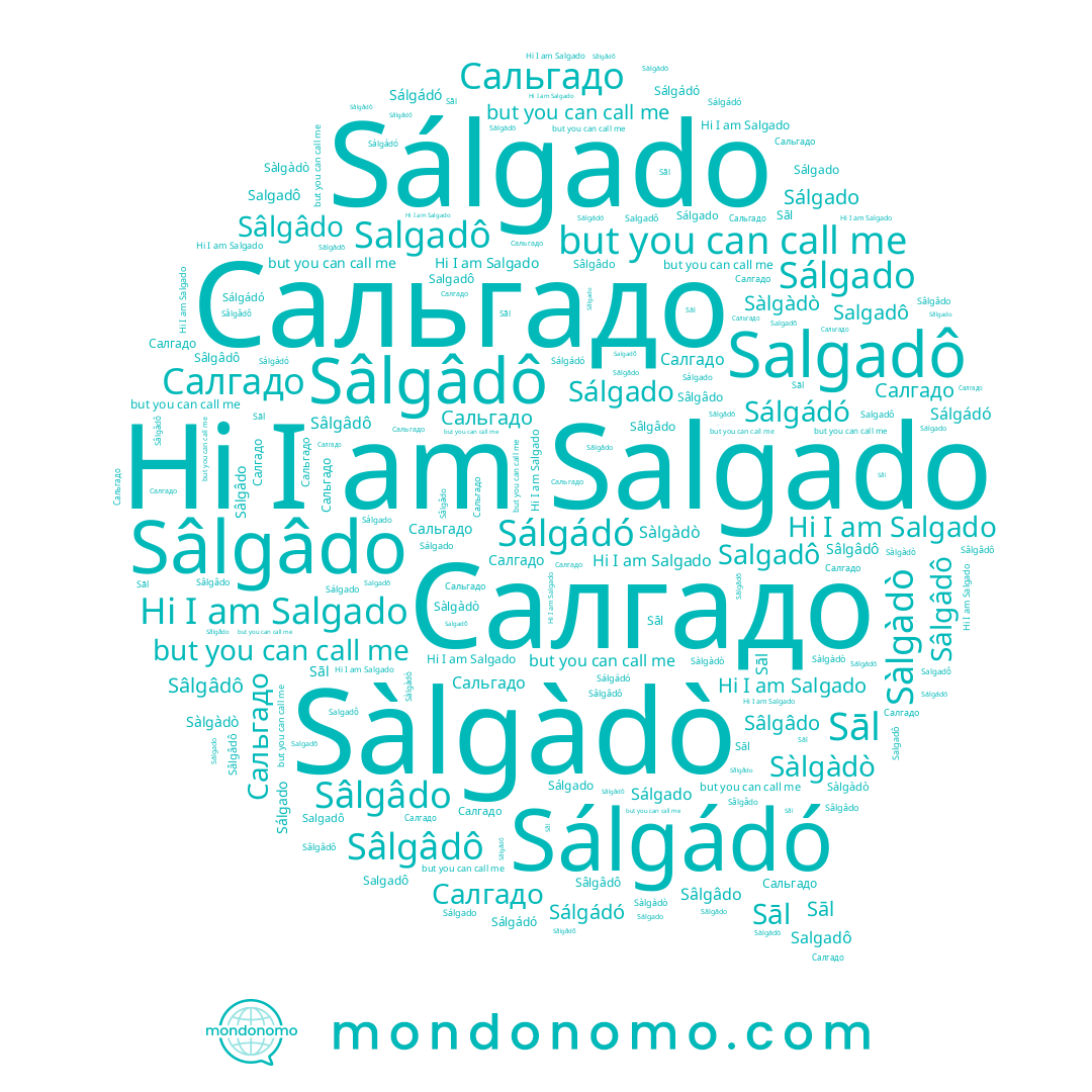 name Sâlgâdo, name Sâlgâdô, name Salgadô, name Салгадо, name Salgado, name Sāl, name Sàlgàdò, name Sálgádó, name Сальгадо, name Sálgado