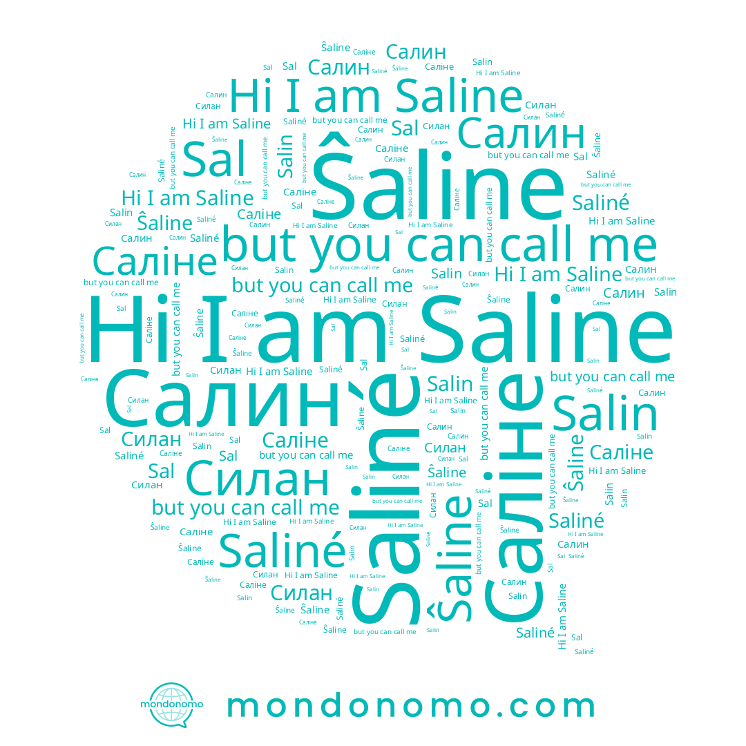 name Салин, name Saliné, name Salin, name Саліне, name Sal, name Ŝaline, name Силан, name Saline