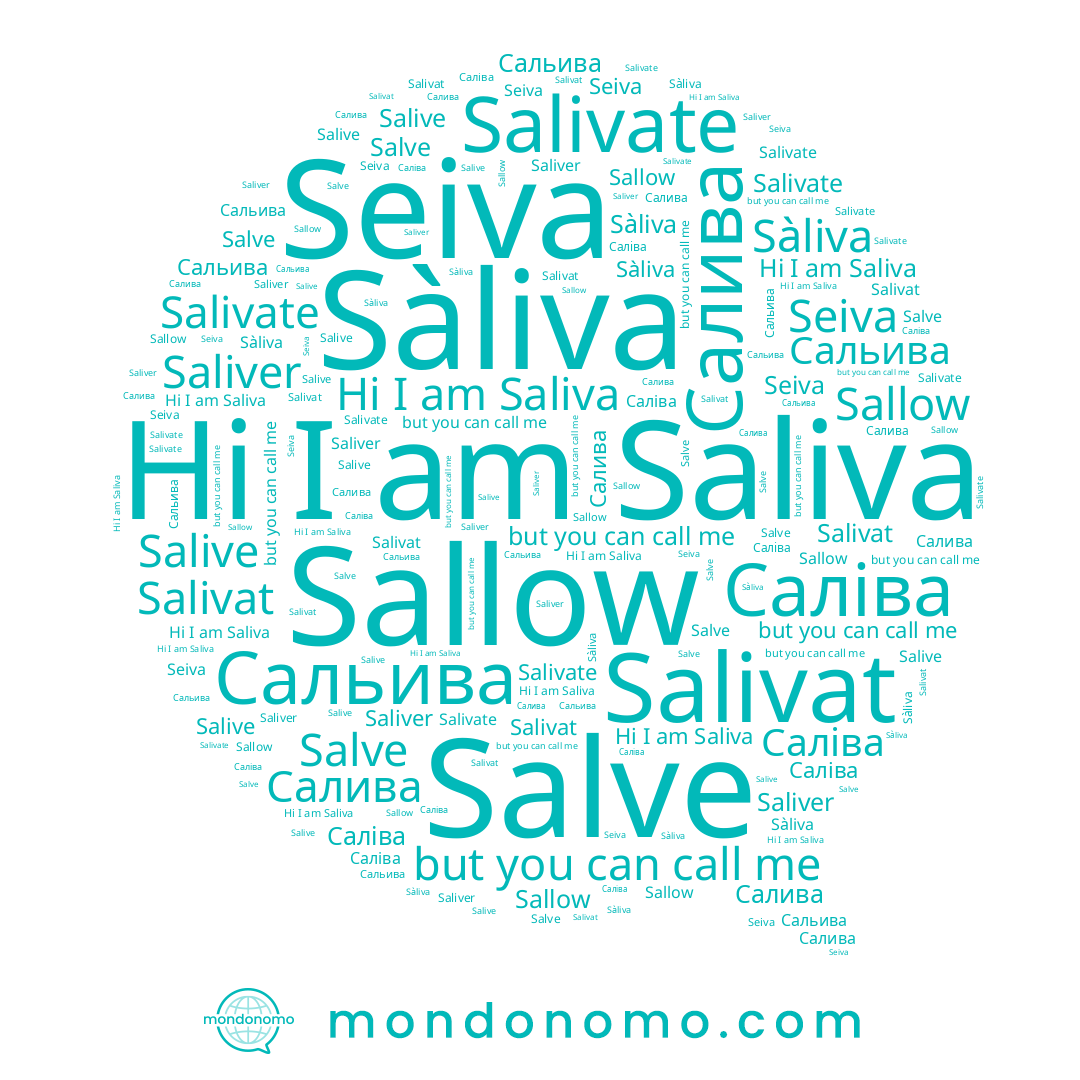 name Saliver, name Sallow, name Salive, name Sàliva, name Саліва, name Salivat, name Salivate, name Сальива, name Saliva, name Seiva, name Салива, name Salve