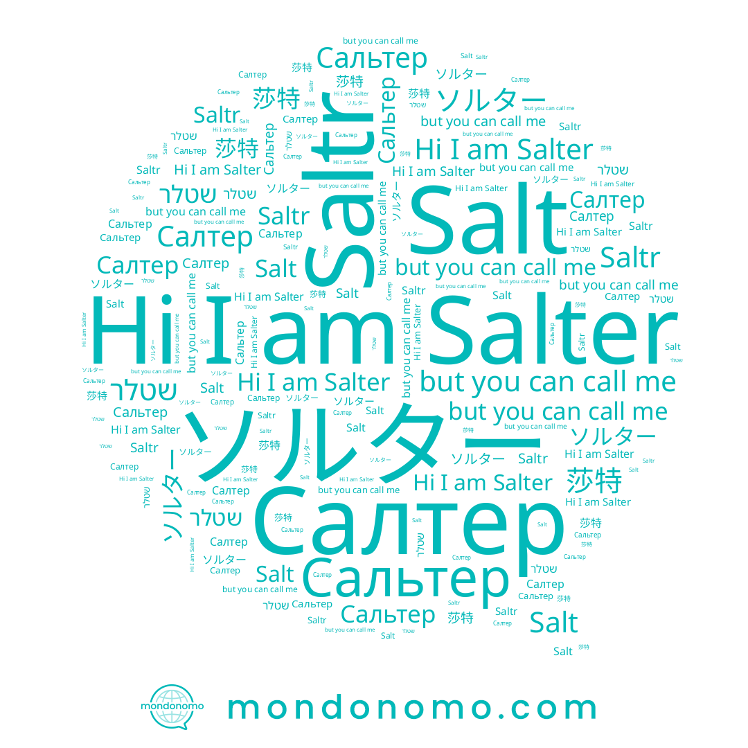name Salter, name Салтер, name 莎特, name שטלר, name Salt, name Сальтер, name Saltr