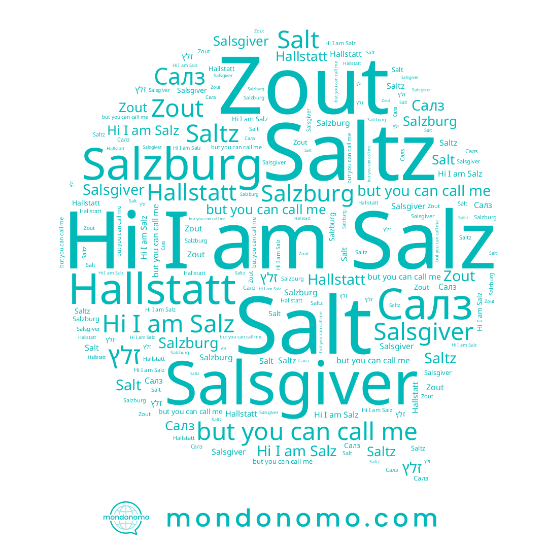 name Salz, name Salsgiver, name Salt, name Салз, name Zout, name זלץ, name Saltz