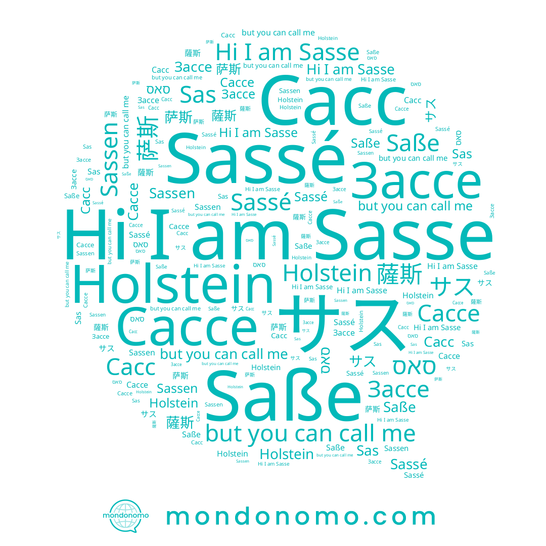name Sas, name Holstein, name Сассе, name סאס, name Sassen, name Sassé, name 萨斯, name Sasse, name Сасс, name 薩斯, name Saße, name サス
