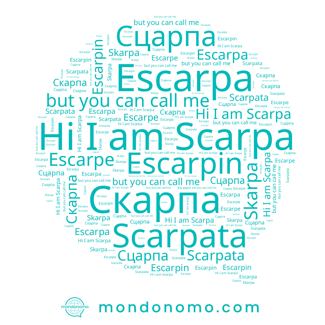 name Скарпа, name Scarpata, name Scarpa, name Escarpa, name Escarpe, name Escarpin, name Сцарпа, name Skarpa